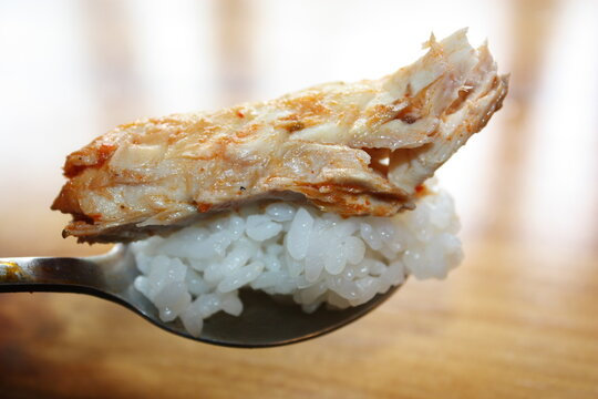 Korean Food Hairtail Fish Stew, Galchi Jjigae