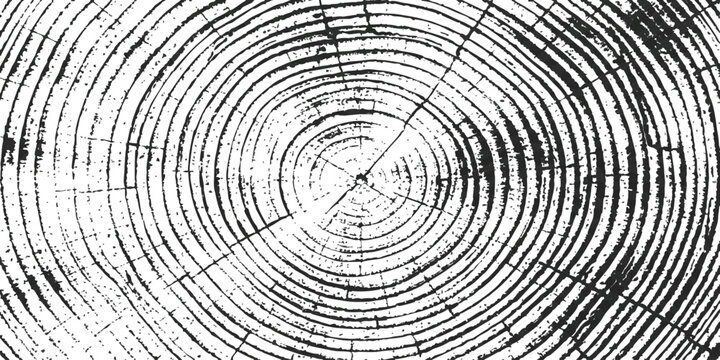 Black and white wood grain texture with circular rings from a cross section of a tree trunk