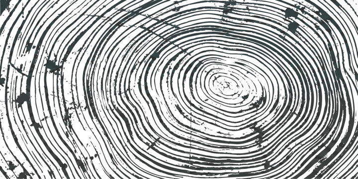 Black and white wood grain texture with concentric tree ring circles pattern