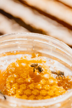 Detalle de abejas en pote de miel con panal organico 