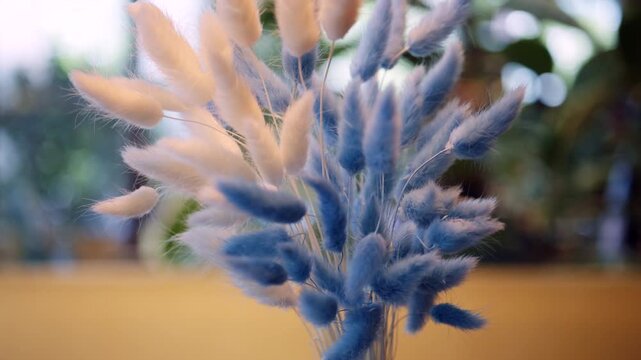Close up of soft, fluffy dried plants in shades of light blue and beige. The stems are bundled together, with a blurred background creating a shallow depth of field