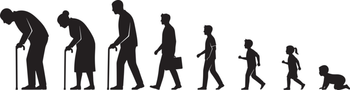 Silhouette showing human life cycle from baby to elderly stages illustrating growth aging and generational progression isolated on white background