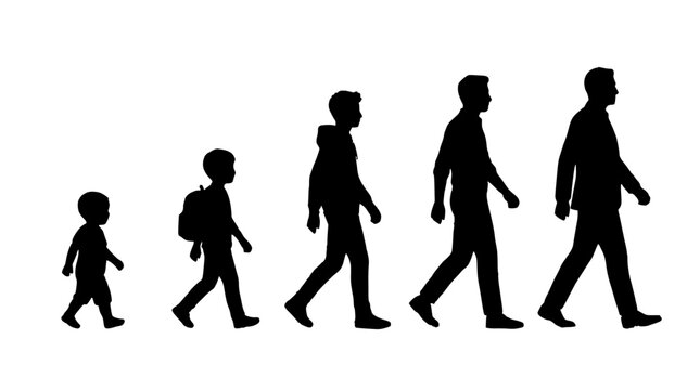 Silhouette of a person walking, representing human growth stages from childhood to adulthood