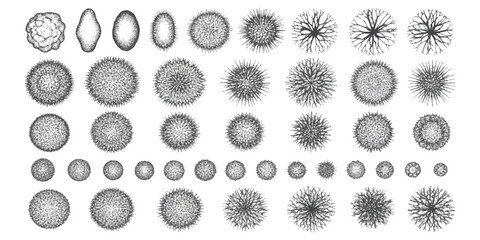 Set of hand drawn sketch tree top view icons for architectural site plan design and landscape architecture projects © ZenVectors