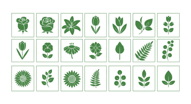 Collection of various green leaf shapes.