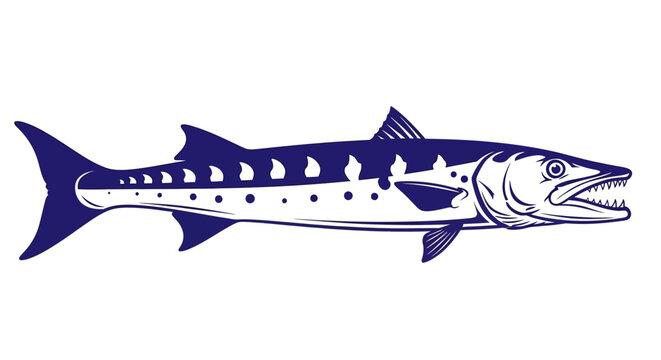 Detailed illustration of a Mackerel fish.