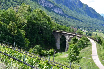 Fototapeta premium Ein Wander- und Rdweg auf einer alten BahntRASSE BEI Montan in Südtirol 