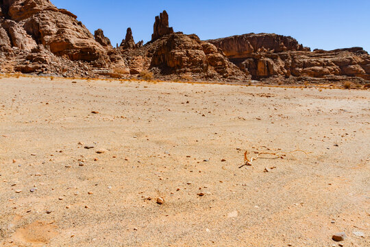 The Sahara Desert. A serir-type desert.  Flat, gravelly  desert terrain. The Tadrad Rouge mountains in the background. Algeria, Africa