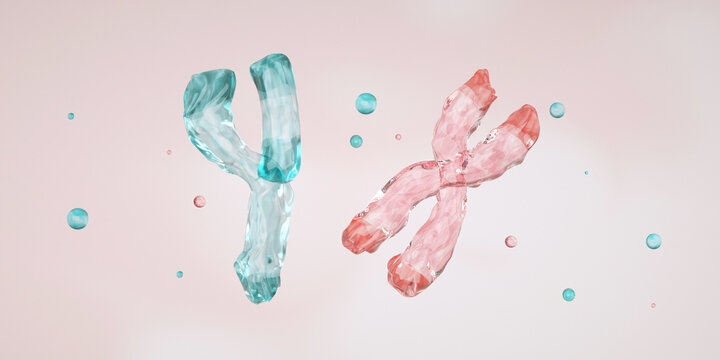 Structure of a Y, X chromosome, centromere, telomere. Epigenetic mechanism. Epigenetic factor, Methyl group, Gene, DNA, Chromosome. Genome sequence. Molecular biology. Photo stock	