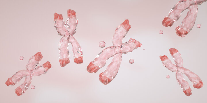 Chromosomal deletion is a type of structural mutation where a portion of a chromosome is missing or lost. Terminal Deletion, Photo stock