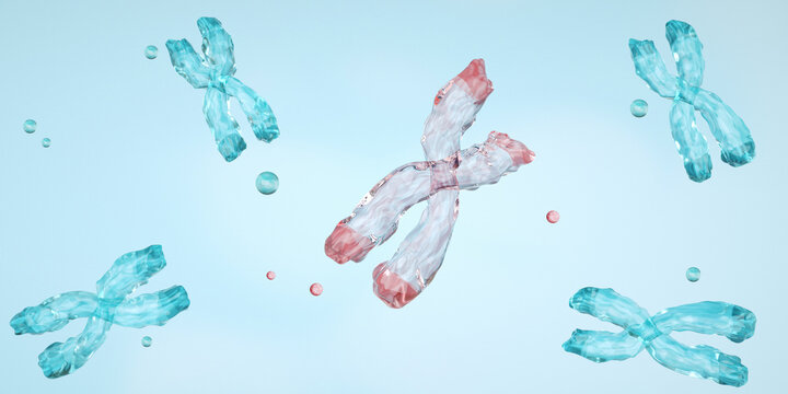Chromosomal deletion is a type of structural mutation where a portion of a chromosome is missing or lost. Terminal Deletion, Photo stock