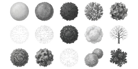 Set of black and white tree icons for architectural landscape design and top view garden planning © ZenVectors