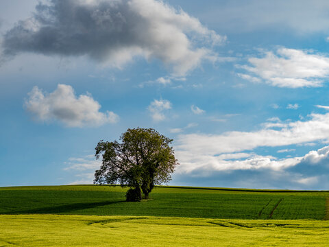 Agrarlandschaft im Fr&uuml;hjahr