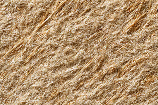 Sustainable compressed hemp fiber cladding board texture close up.