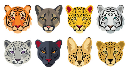 Set of six wild big cat head illustrations in circular frames © Kaka