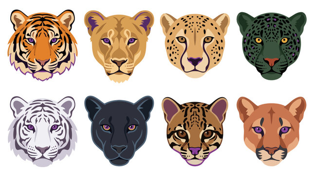 Six big cat head illustrations in flat design style on white background