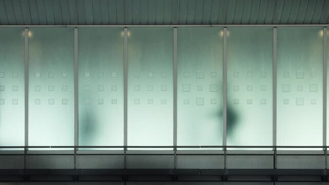 The silhouettes of people walking behind frosted glass in a train station in Tokyo. This video loops seamlessly.