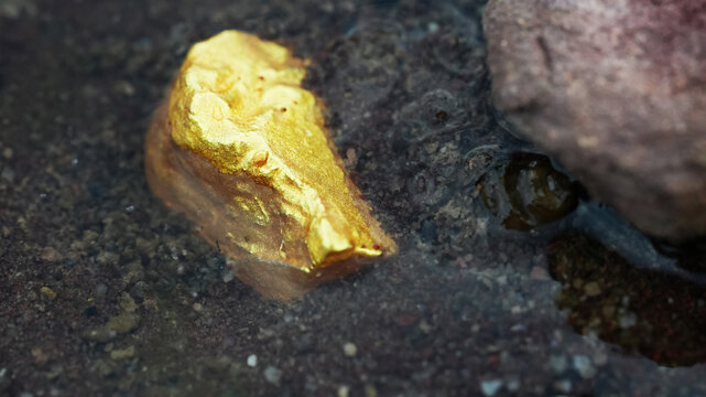Raw gold nugget in water with rocks and gravel creating natural mining exploration and valuable resource concept