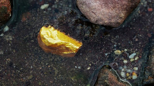 Gold nugget resting in shallow water among natural stones with dark texture representing mining wealth and precious mineral discovery