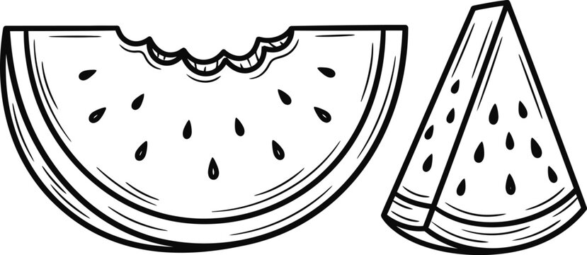 Black and white line art illustration of watermelon slices