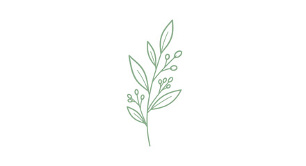Fototapeta premium A single green plant stem.