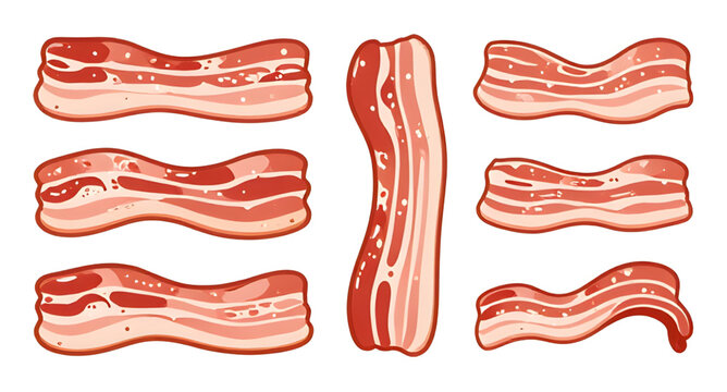 bacon, meat, slice, pork, food, breakfast, cooked, raw, strip, crispy, fat, butcher, cooking, vector, illustration, isolated, protein