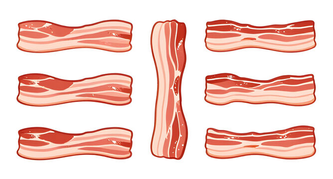 slice, bacon, meat, pork, food, breakfast, cooked, raw, strip, crispy, fat, butcher, cooking, vector, illustration, isolated, protein