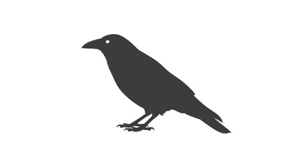 Black silhouette of a crow bird. © Bilal