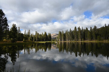 Fototapeta premium Perfect reflection of pine forest and cloudy sky on calm mountain lake water surface.
