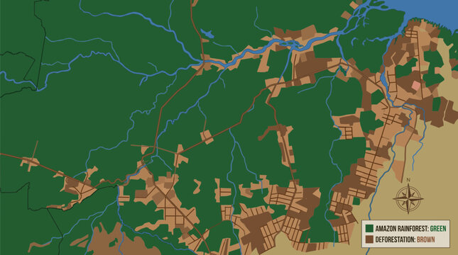 Satellite View of Amazon Rainforest Deforestation