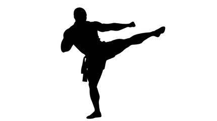 Black silhouette of a man kicking in karate isolated on transparent background, Vector © Md