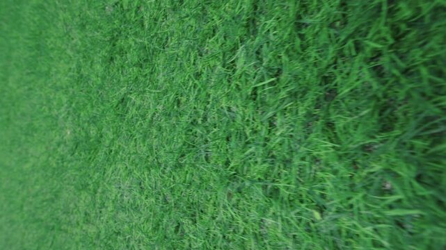 Slider shot of green artificial grass, Vertical Screen
