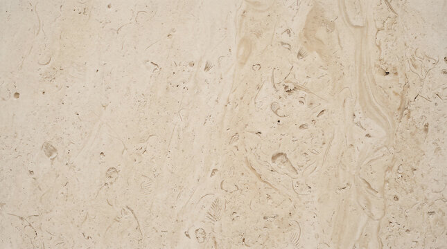 Beige limestone texture surface with small fossil fragments