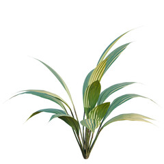 Fototapeta premium Elegant Fern Leaves, Detailed Botanical Illustration, Nature's Delicate Beauty, Lush Greenery