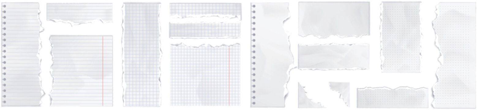 Ripped notebook paper blank notes template vector