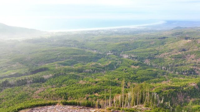 Aerial Landscape of Seaside Oregon Beyond Regrowing Forest