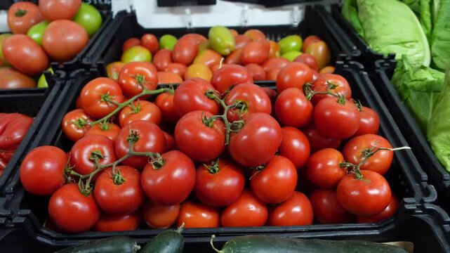Tomate org&acirc;nico em mercado de frutas