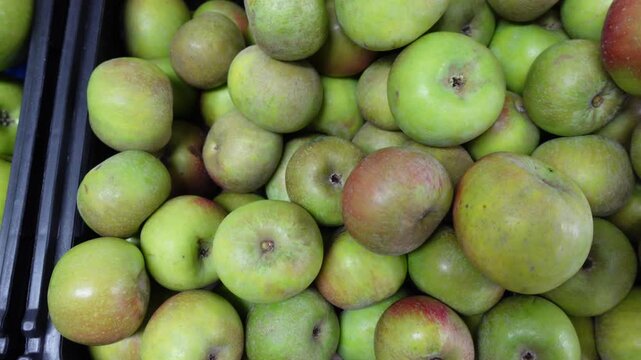 Ma&ccedil;&atilde;s verdes frescas em uma feira de frutas