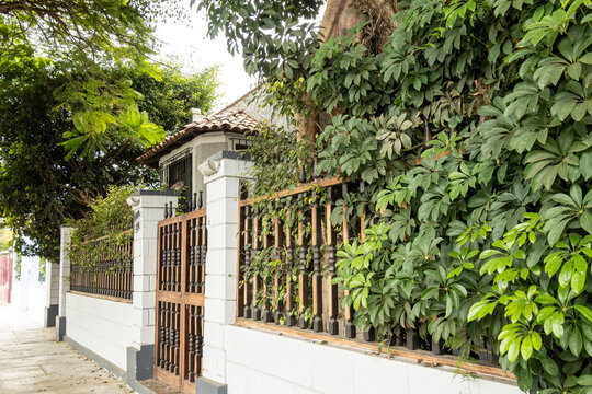 Traditional Residential House Facade with White Fence, Wooden Gate and Lush Green Climbing Plants. Charming Architecture in Barranco District, Lima, Peru. Urban Garden Street View.