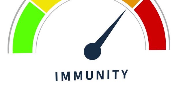 Conceptual of an immunity meter with the needle indicating a strong immune system in the red zone on a white background Keywords: immunity meter gauge indicator level assessment measurement