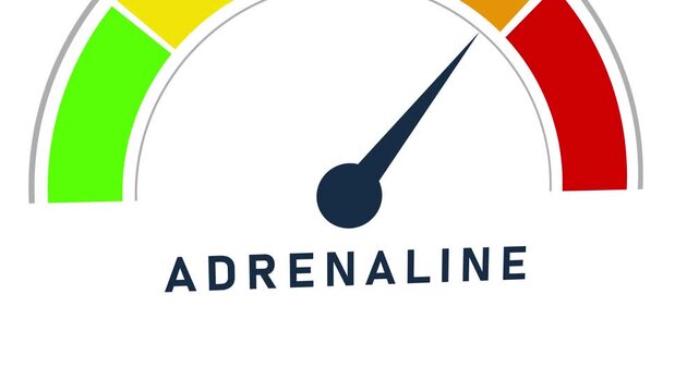 Adrenaline level indicator gauge with needle pointing towards the red zone indicating a or critical level on a white background Keywords: adrenaline, hormone, indicator, gauge, meter