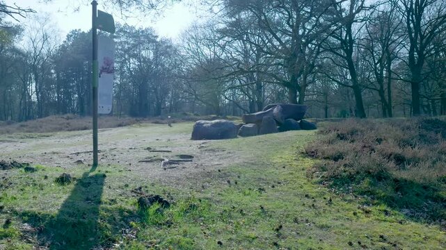 Ancient dolmen megalithic monument in a forest clearing