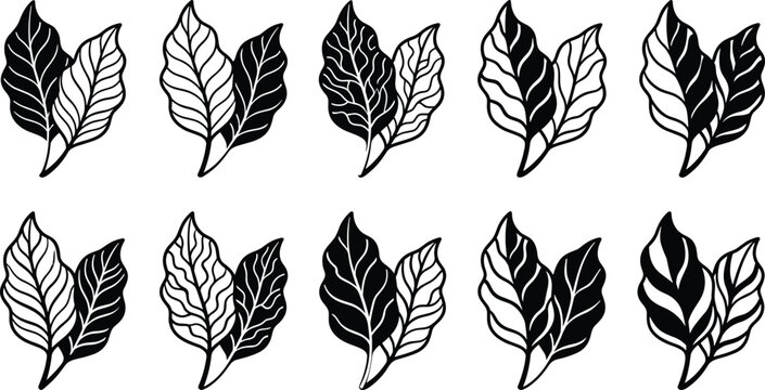 Tropical Leaf and Botanical Foliage Line Art Vector Icon Set Featuring Hand Drawn Black and White Plant Branches for Nature Logo Designs