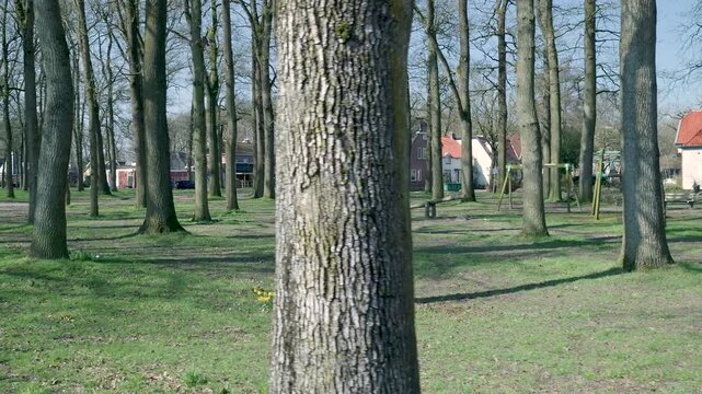 Camera moving sideways in a small park with trees