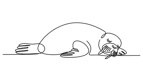 Continuous one line drawing of a sleeping walrus isolated on white background, Vector © S Arts & Culture