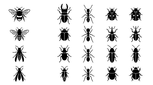 Beetle insect icons set with black detailed silhouettes on white background for education, biology and design