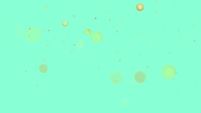 Aquamarine 7FFFD4 Hex Code - Multicolored particles, shimmering circles, balls Backgrounds seamless loop animation creative glossy business wallpaper concept futuristic minimal retro abstract digital