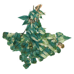 Philodendron scandens-Sweetheart tree plan, top view, cutout, transparent background, isolate, Lush green Monstera leaves, detailed texture, vibrant tropical foliage, nature background © DH Tree Stock