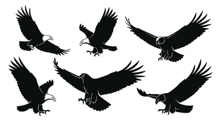 Fototapeta premium Group of six detailed black eagle silhouettes in various flying and landing poses are arranged on a clean white background.