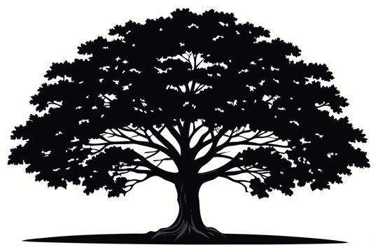 vector tree silhouette
